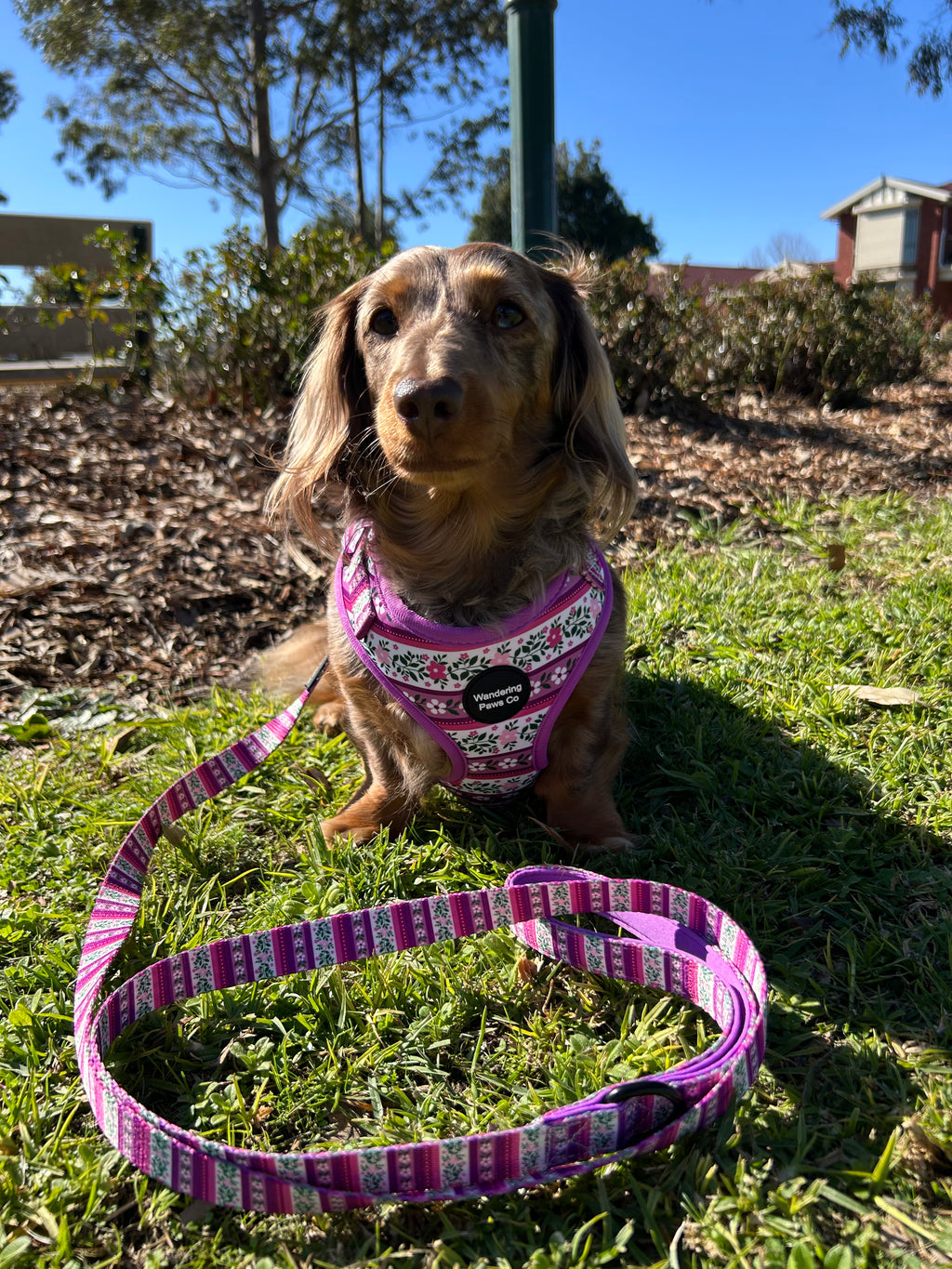 Lilac Floral Harness
