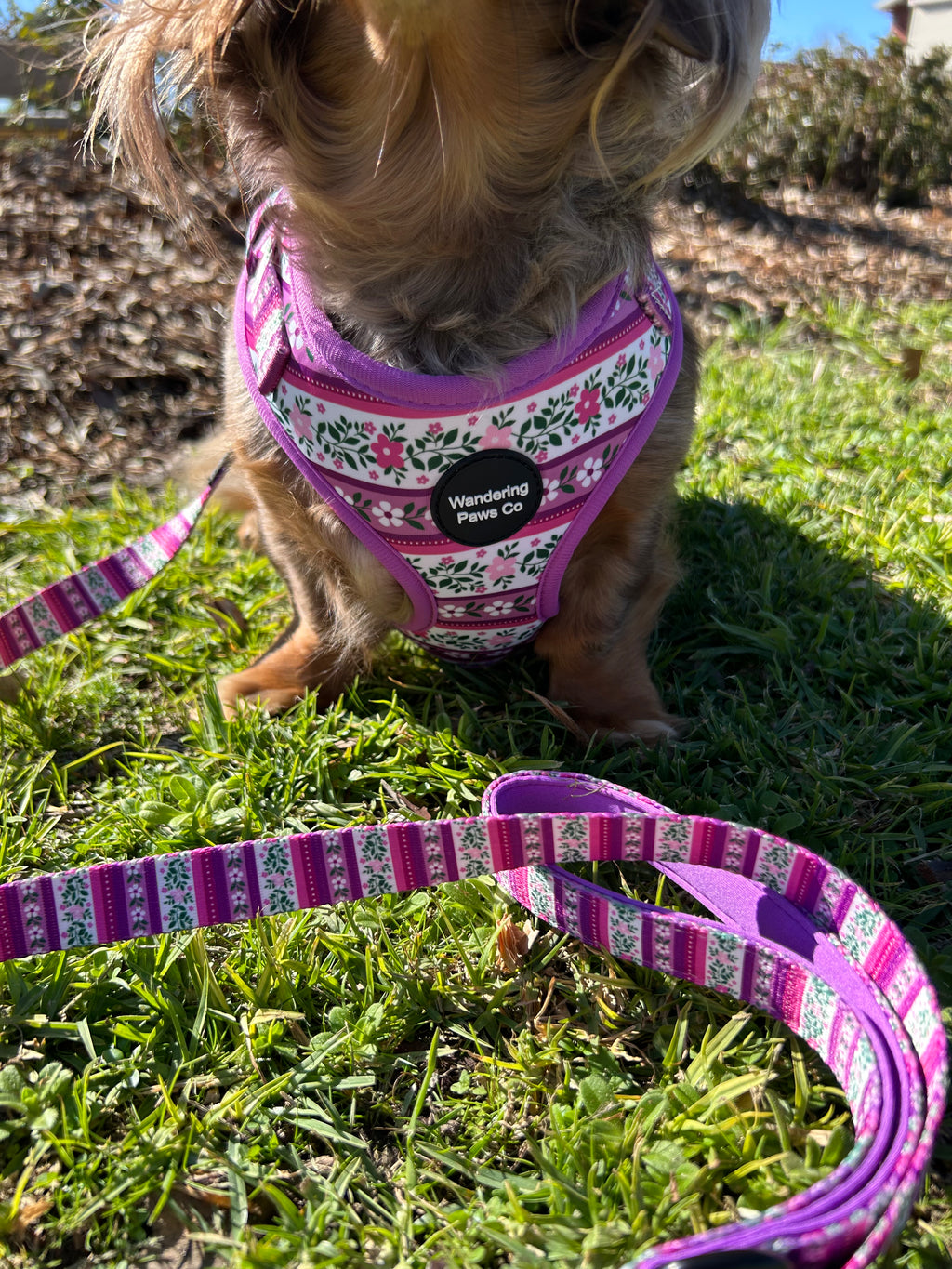 Lilac Floral Leash