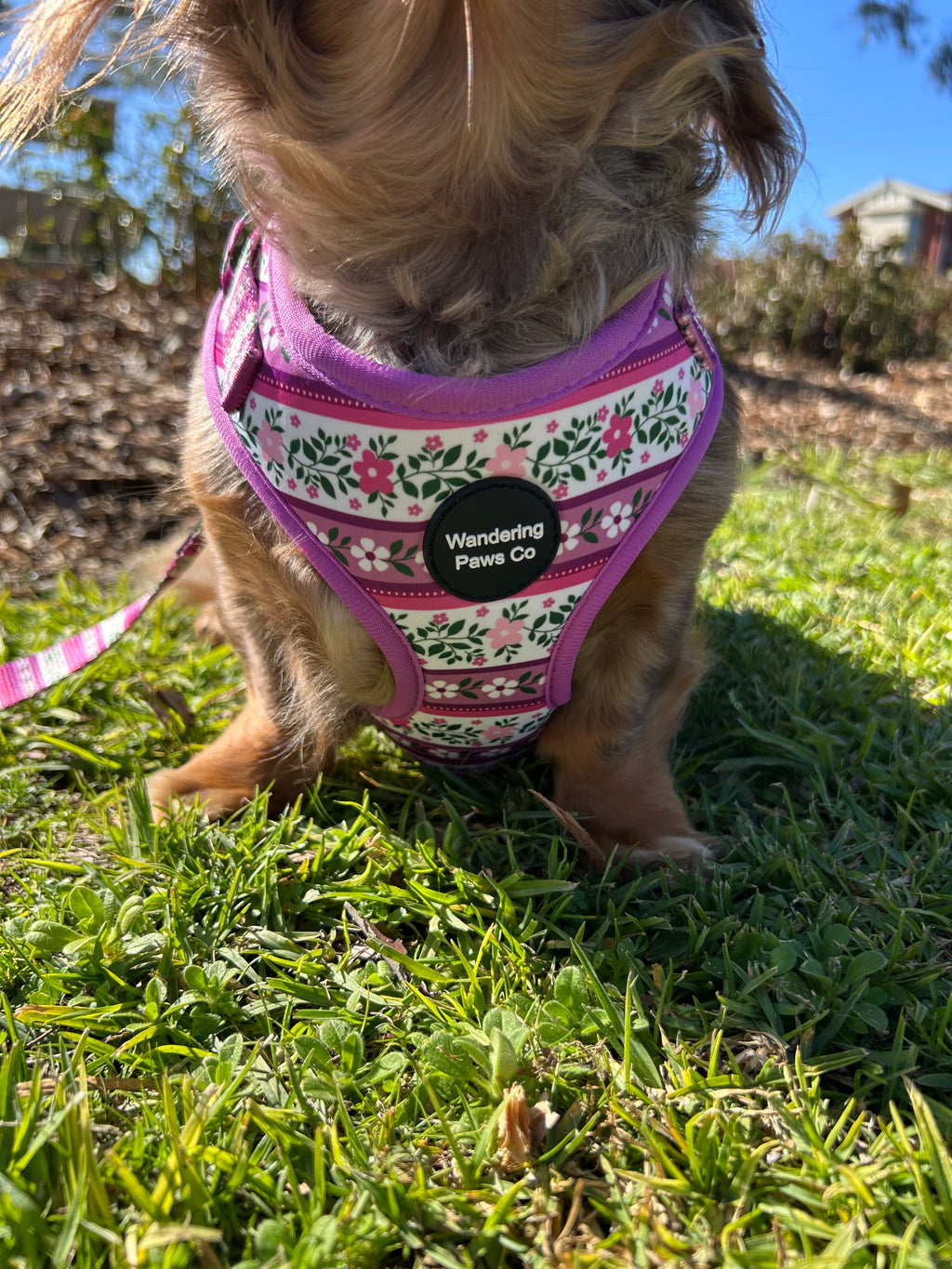 Lilac Floral Harness