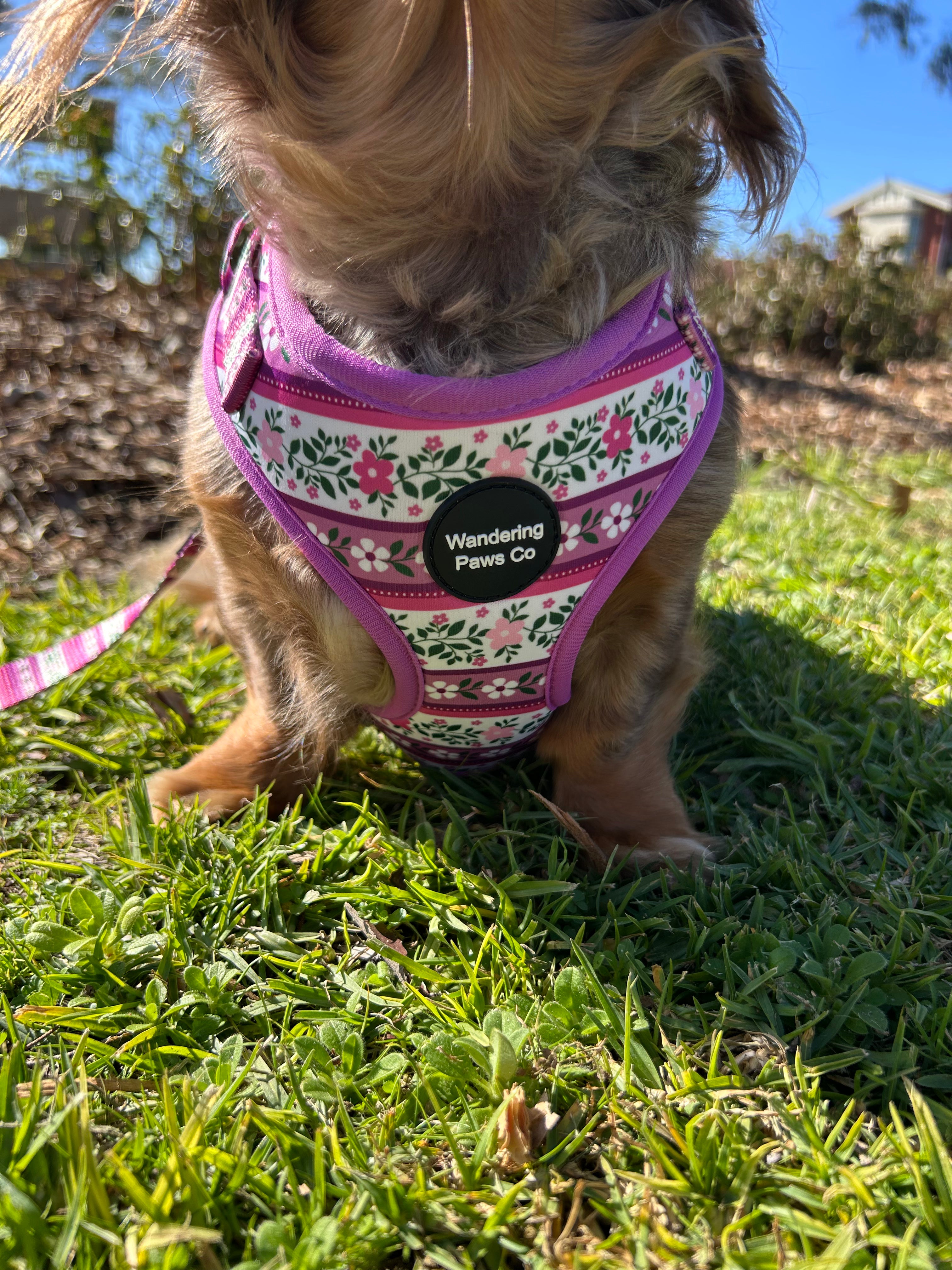 Lilac Floral Harness