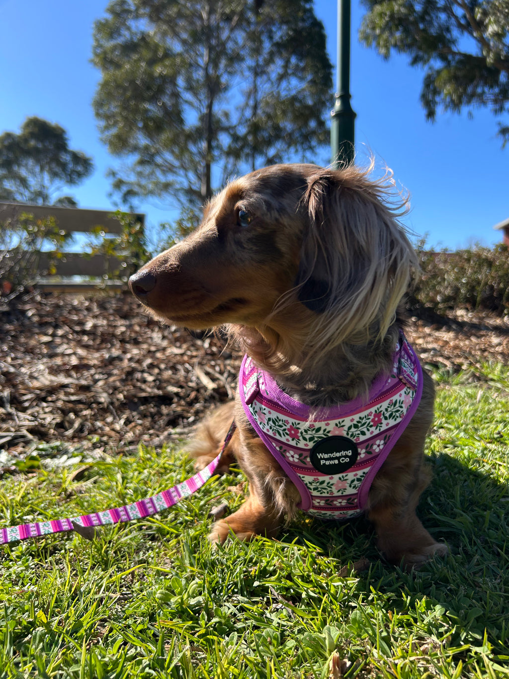 Lilac Floral Harness