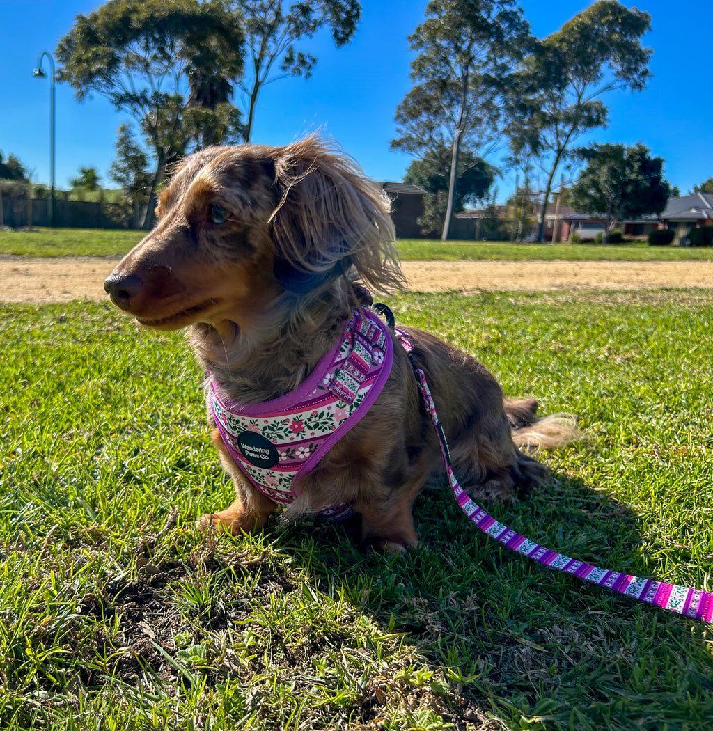 Lilac Floral Harness